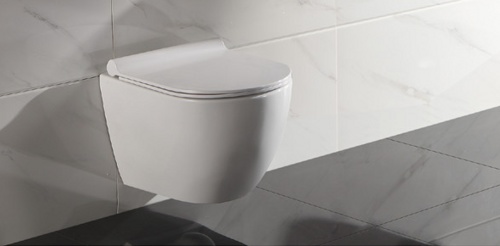 Унитаз Ceramalux TR2196 подвесной SoftClose унитаз ceramalux tr2196 подвесной softclose